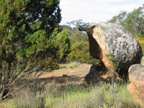 Kinchina area, west of Murray Bridge Kinchina area, west of Murray Bridge