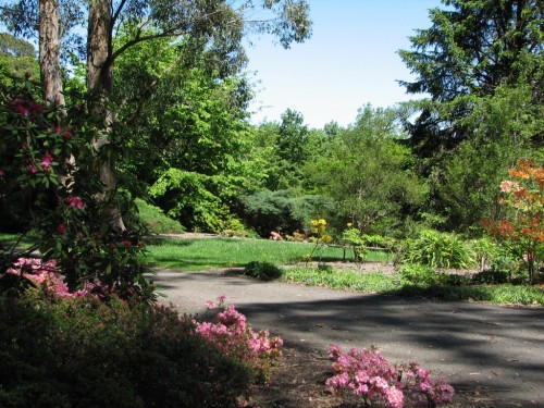 Mt Lofty Botanic Gardens