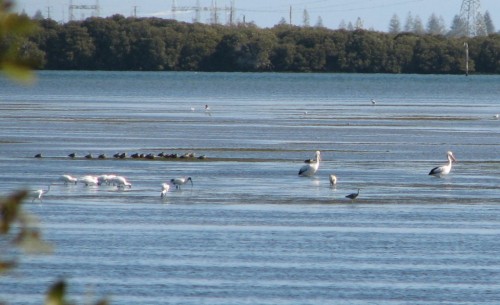 Barker Inlet, St Kilda, near Adelaide Barker Inlet, St Kilda, near Adelaide