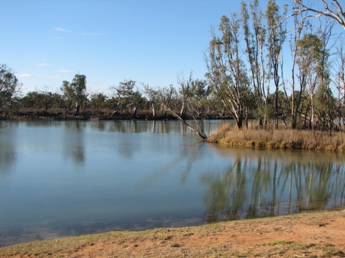 River Murray at Loxton, South Australia River Murray at Loxton, South Australia