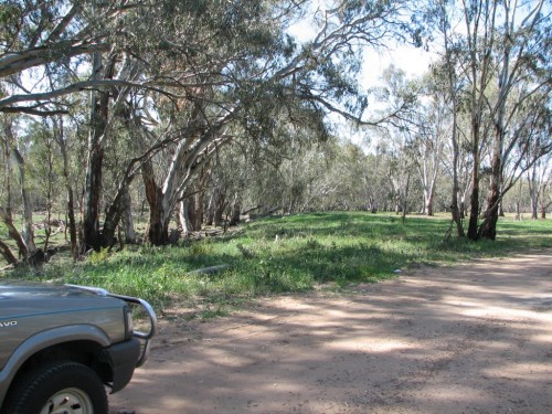 Birdcage Rest Area, east of Hay NSW