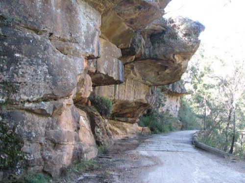 Royal National Park, south of Sydney
