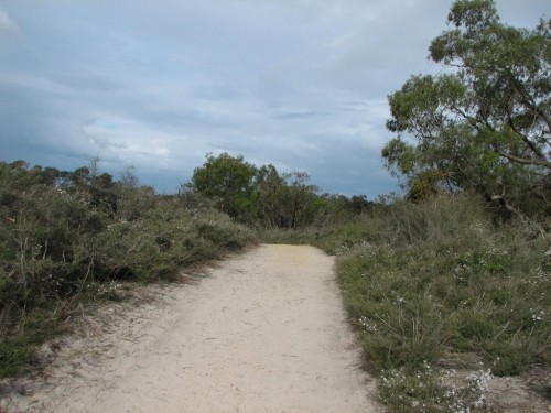 Walking track in the Cranbourne Botanic Gardens