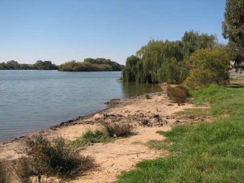 Murray River near Sturt Reserve in Murray Bridge