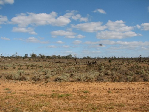 Murray-Sunset National Park, NW Victoria