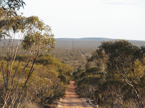 Murray-Sunset National Park, NW Victoria