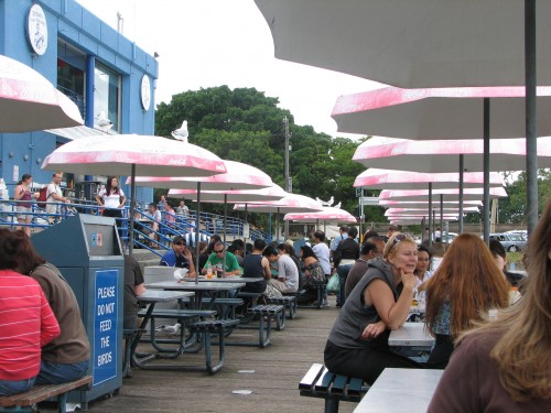 sydney-fish-markets_20090102_003 Picnic area of the Sydney Fish Markets