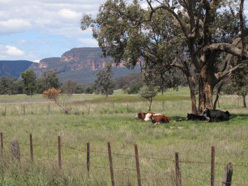 Capertee Valley, New South Wales