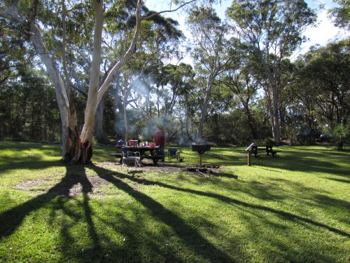 Picnic at Lane Cove National Park