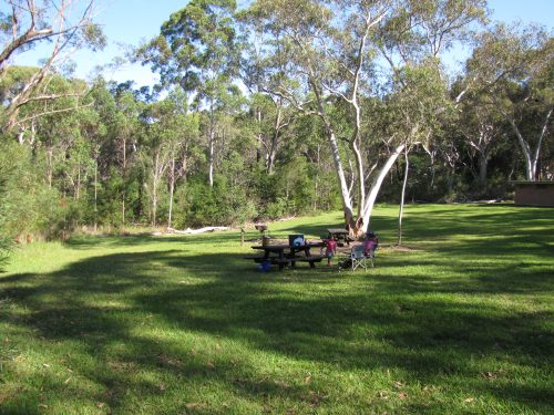 Picnic at Lane Cove National Park