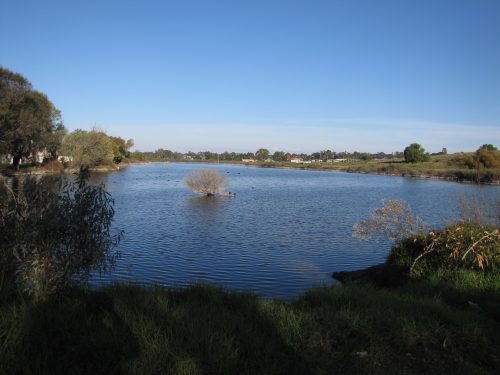 Part of the lagoon south of Sturt Reserve, Murray Bridge