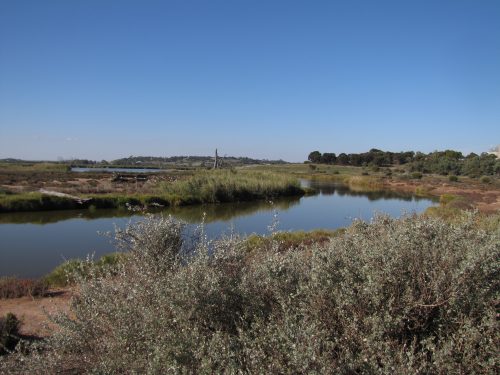 Rocky Gully wetlands, Murray Bridge, South Australia