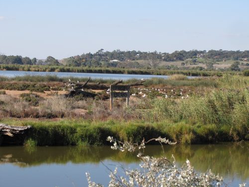 Rocky Gully wetlands, Murray Bridge, South Australia