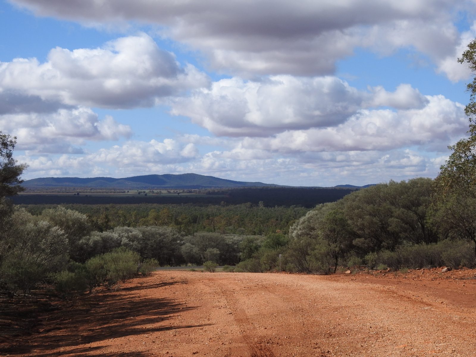 Round Hill Nature Reserve Archives Trevor's Birding Trevor's Birding